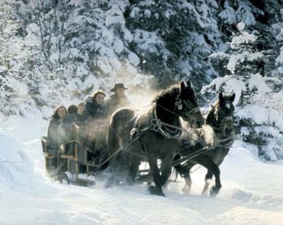 From Salzburg: Ramsau Day Trip with 1-hour Carriage Ride - The coach ride from Salzburg to Ramsau