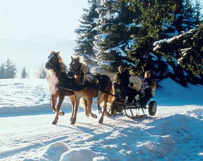 From Salzburg: Ramsau Day Trip with 1-hour Carriage Ride - The Alpine lodge stop and local food