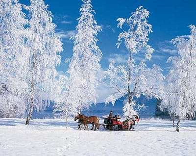 From Salzburg: Ramsau Day Trip with 1-hour Carriage Ride - The horse-drawn sleigh ride through Ramsau