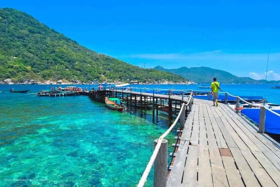 From Samui: Ko Tao and Koh Nang Yuan Speedboat Day Trip - Key points to know before you book