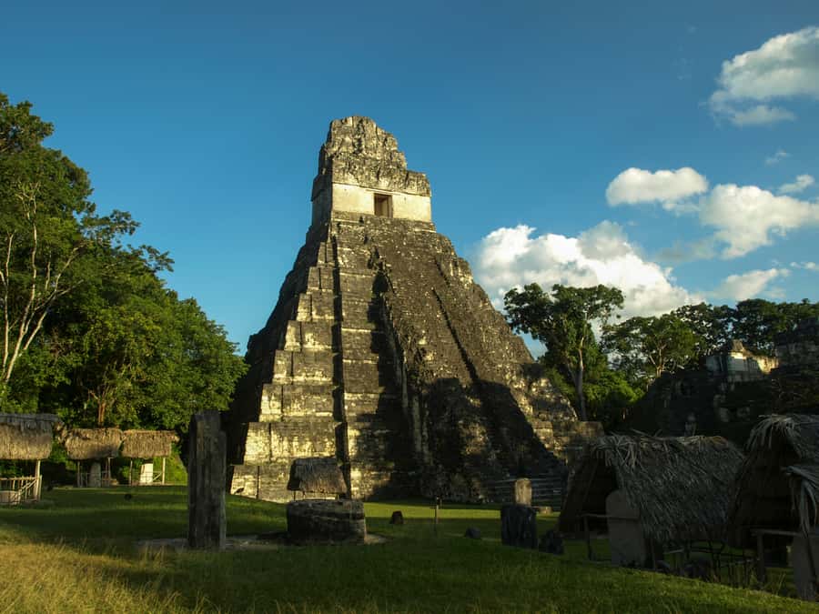 From San Ignacio: Tikal Maya Site Day-Trip with Local Lunch - The temples, plazas, and views above the canopy