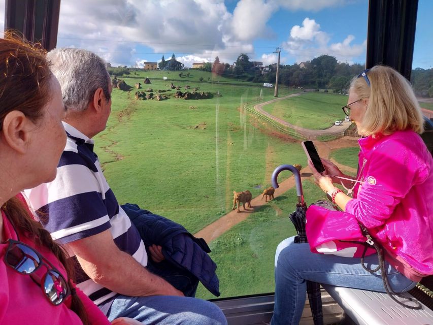 From Santander: Cabarceno Natural Park Half-Day Trip - Key points to know before you go