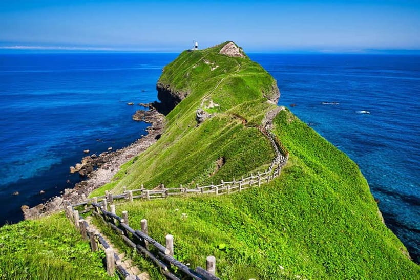 From Sapporo: Hokkaido Highlights Day Trip - Why Cape Kamui deserves the first look