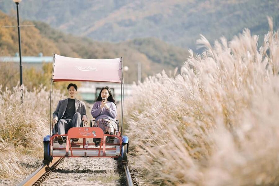 From Seoul: Nami Island, K-drama Garden & Rail Bike Day Tour - Key points at a glance