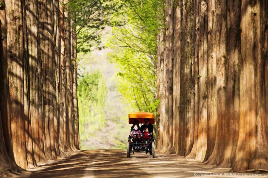 From Seoul: Nami Island, K-drama Garden & Rail Bike Day Tour - Nami Island and its familiar K-drama setting