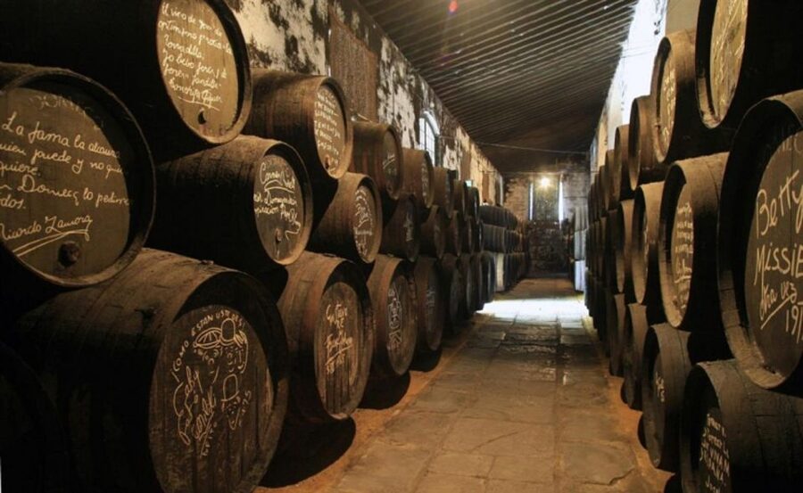 From Seville: Cadiz and Jerez de la Frontera Day Trip - A short look at Jerez de la Frontera