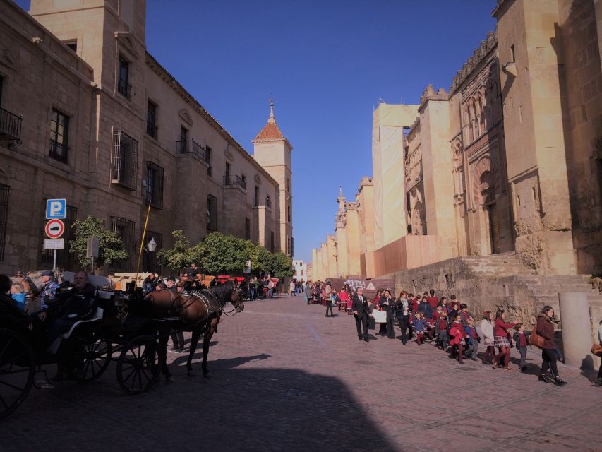From Seville: Cordoba, the Mosque and Carmona Day Trip - Free time means lunch, not a second full tour