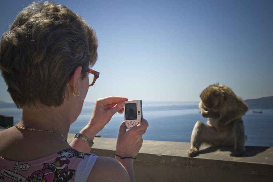 From Seville: Day Trip to Gibraltar - Up the Rock of Gibraltar