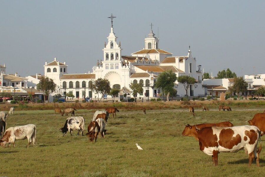 From Seville: Doñana National Park Day Trip - La Rocina and the forest trails