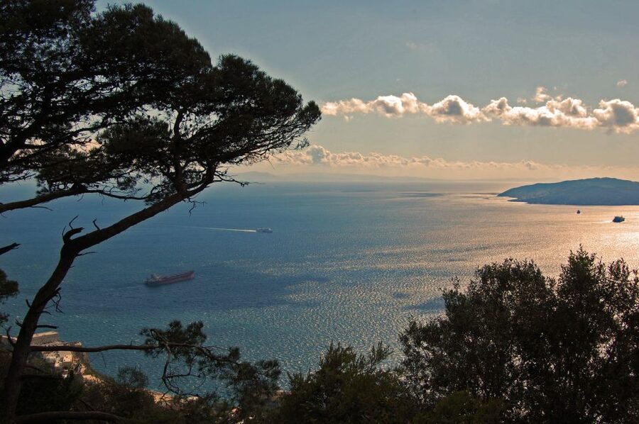 From Seville: Full-Day Trip to Gibraltar - Is the Seville to Gibraltar day trip worth the long ride?