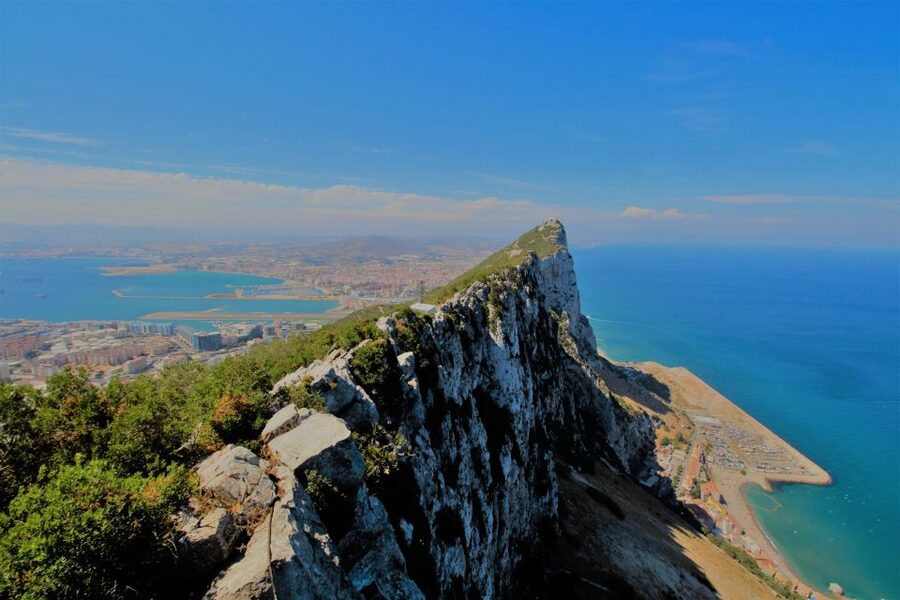 From Seville: Full-Day Trip to Gibraltar - Meeting Gibraltar’s famous macaques