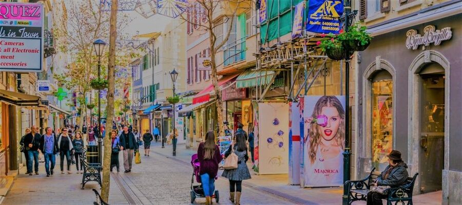 From Seville: Full-Day Trip to Gibraltar - Shared or private: which option fits you?