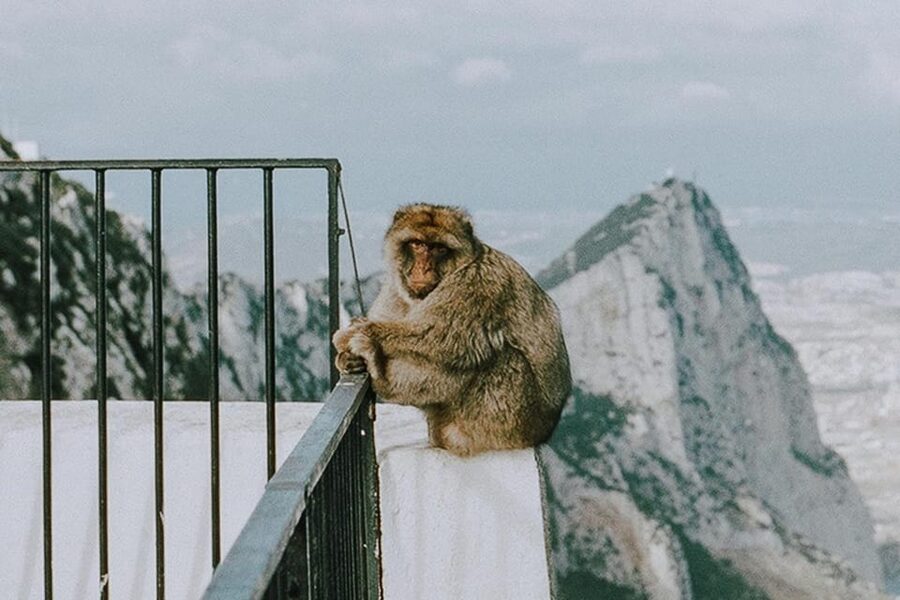 From Seville: Gibraltar Day Trip - Why Gibraltar makes a worthwhile day from Seville