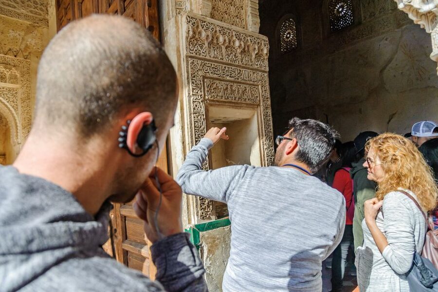 From Seville: Granada Day Trip Alhambra and Albaycin - The Nasrid Palaces and Islamic decoration