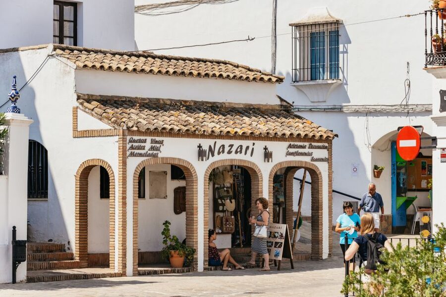 From Seville: Pueblos Blancos and Ronda Full-Day Trip - Molino El Vínculo and the taste of Andalusian olive oil