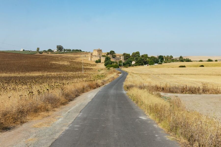 From Seville: Pueblos Blancos and Ronda Full-Day Trip - Grazalema and the Sierra de Grazalema Natural Park