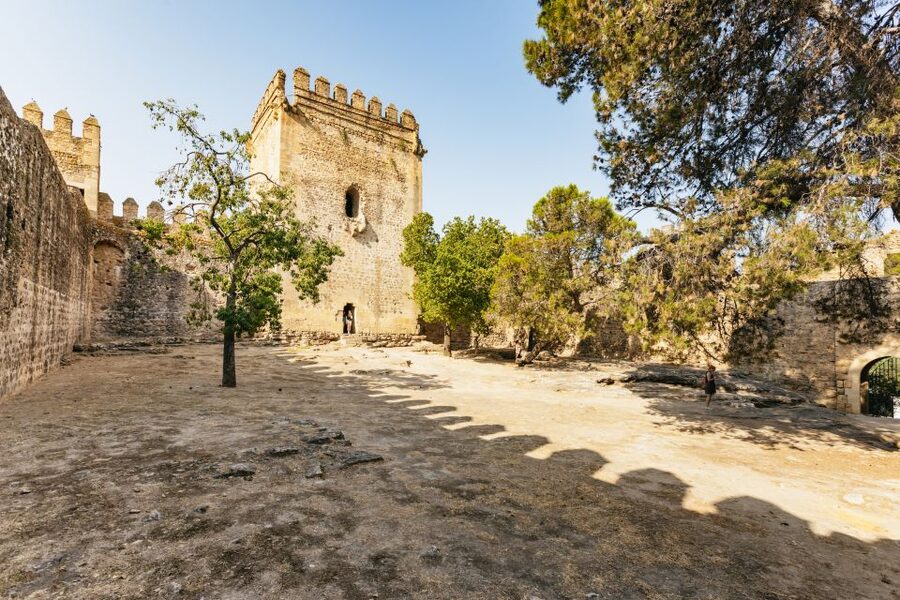 From Seville: Pueblos Blancos and Ronda Full-Day Trip - The road to Ronda through Mediterranean woodland