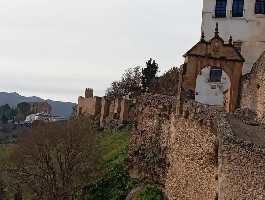 From Seville: Ronda+Setenil de las Bodegas Day Trip - The coach ride through Andalusia