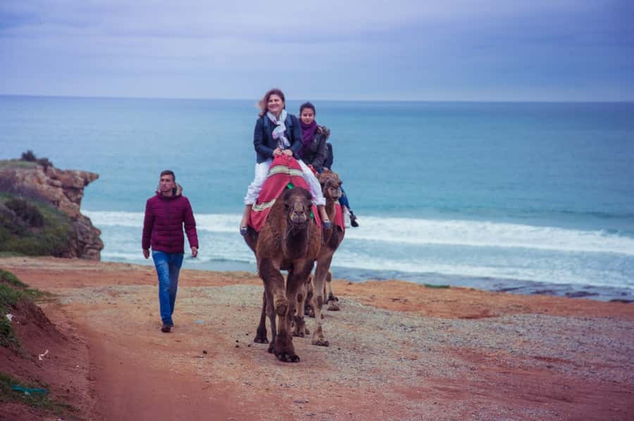 From Seville: Tangier Day Trip with Local Guide and Lunch - The return journey to Seville