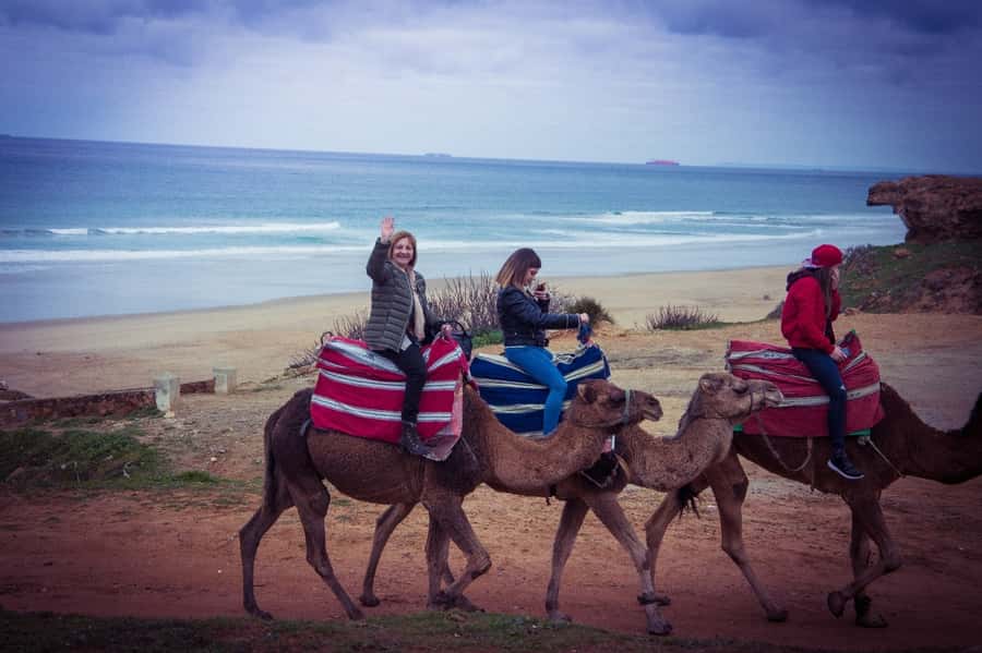 From Seville: Tangier Day Trip with Local Guide and Lunch - The road from Seville to Tarifa