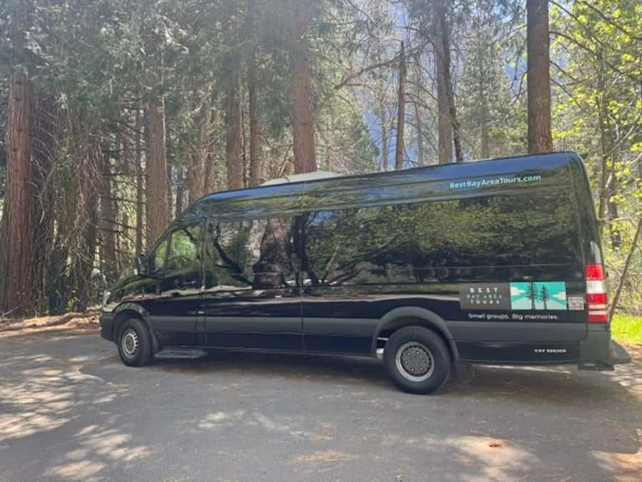 From SF: Yosemite Day Trip with Giant Sequoias Hike & Pickup - Tuolumne Grove brings the ancient trees