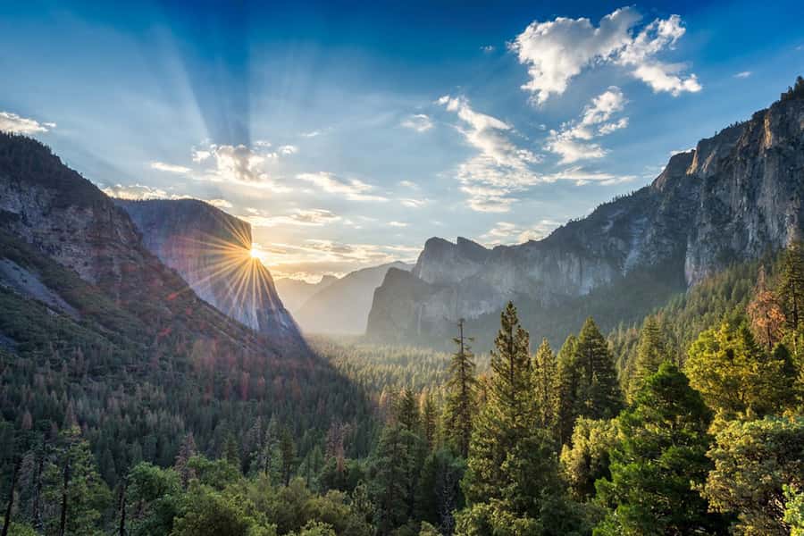 From SF: Yosemite Day Trip with Giant Sequoias Hike & Pickup - The guides are a major part of the value