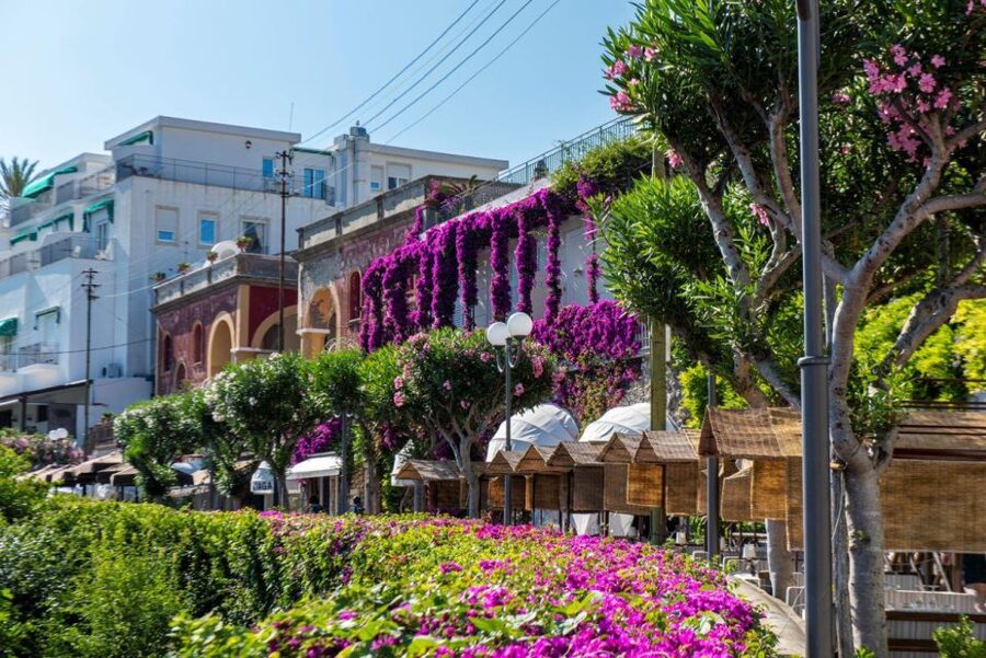 From Sorrento: Capri, Anacapri, & Blue Grotto Full-Day Trip - Who should book this Capri day trip