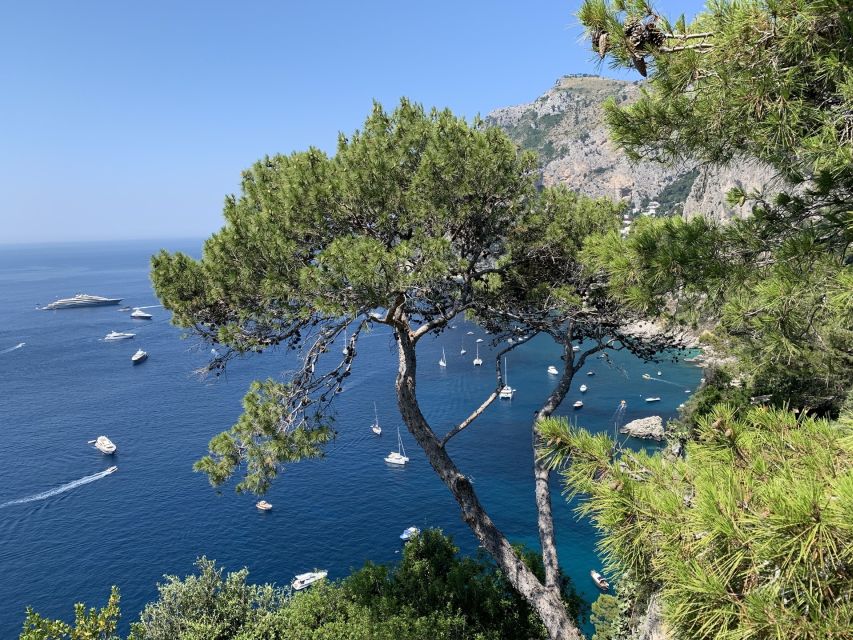 From Sorrento: Day Trip to Capri & Anacapri with Blue Grotto - Anacapri brings the island’s best views