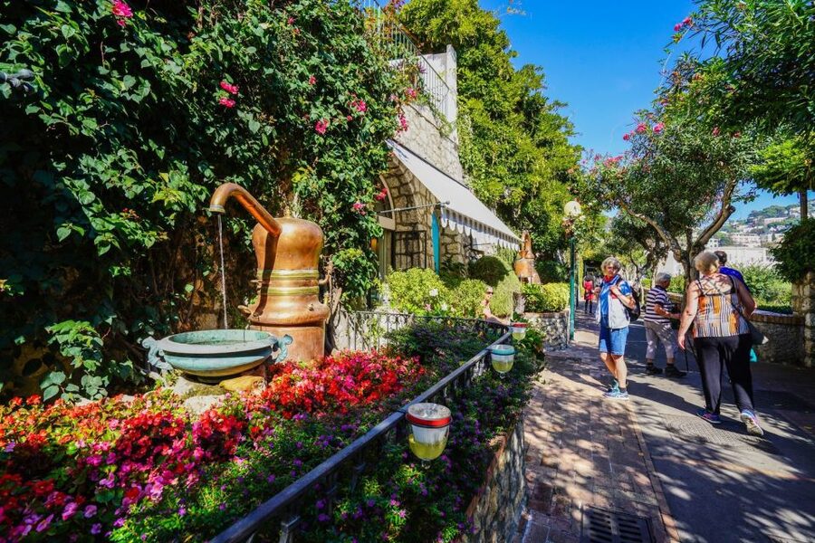 From Sorrento: Day Trip to Capri & Anacapri with Blue Grotto - Is $178.42 a fair price?