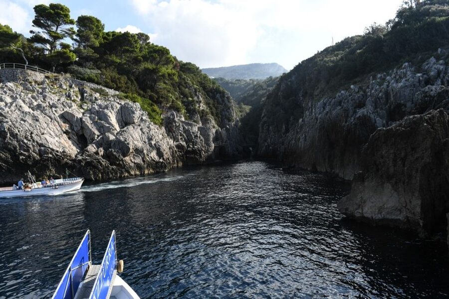 From Sorrento: Day Trip to Capri with Blue Grotto - The guides and the practical help