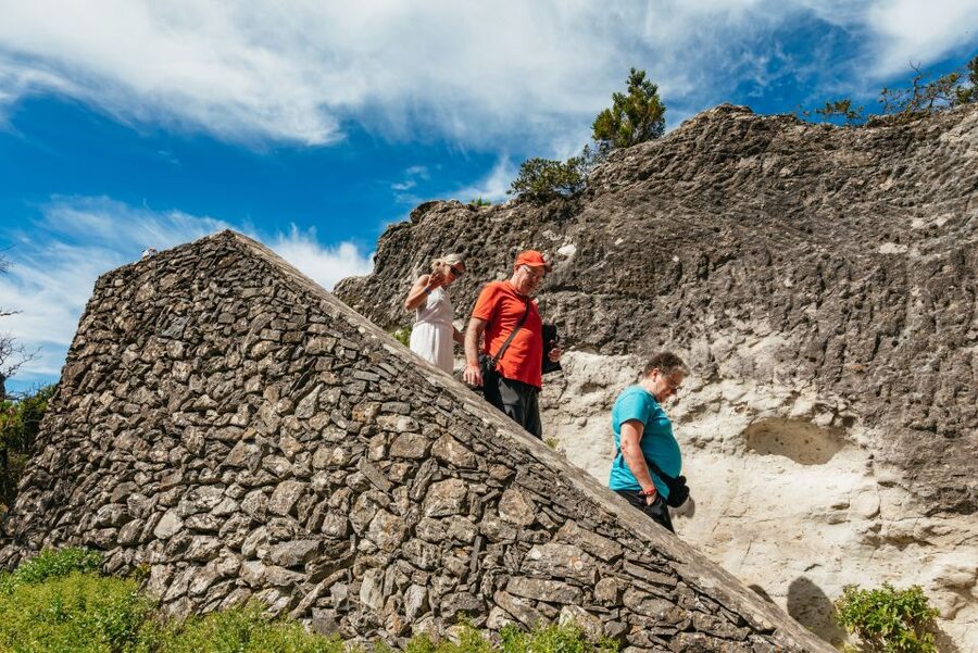 From South Tenerife: La Gomera Island Day Trip with Lunch - Who should book this La Gomera day trip?