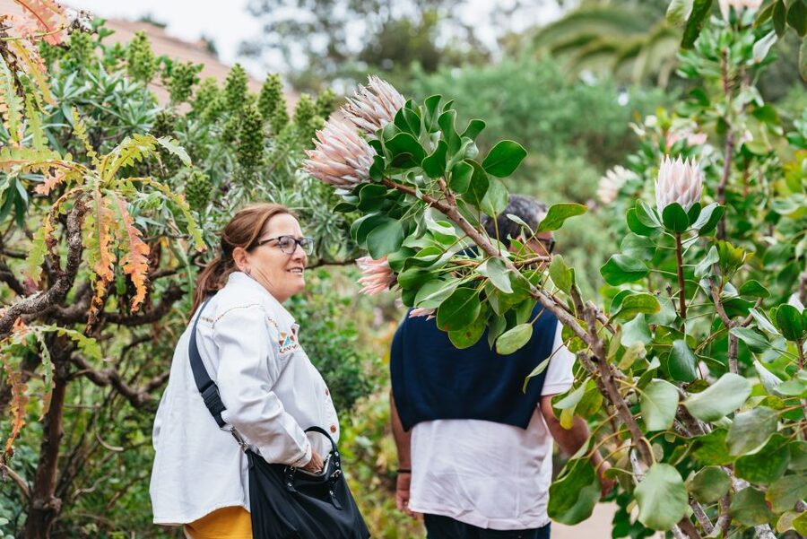 From South Tenerife: La Gomera Island Day Trip with Lunch - Why La Gomera makes a fine change from Tenerife