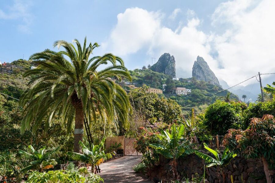 From South Tenerife: La Gomera Island Day Trip with Lunch - San Sebastián and Columbus’s island connection