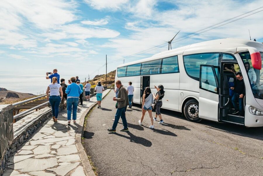 From South Tenerife: La Gomera Island Day Trip with Lunch - Guides, languages, and the pace of the day