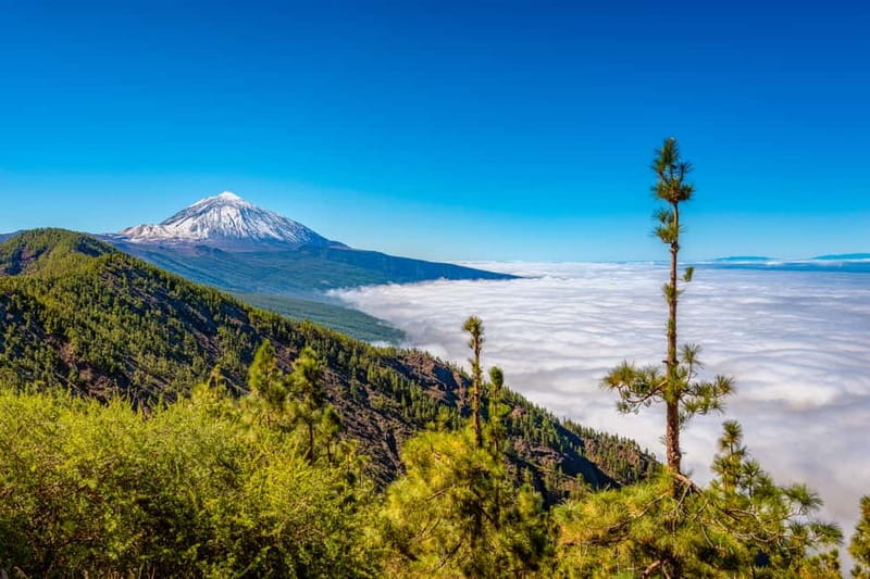 From South Tenerife: Mount Teide Hiking Day Trip & Cable Car - What $169 includes, and what it does not