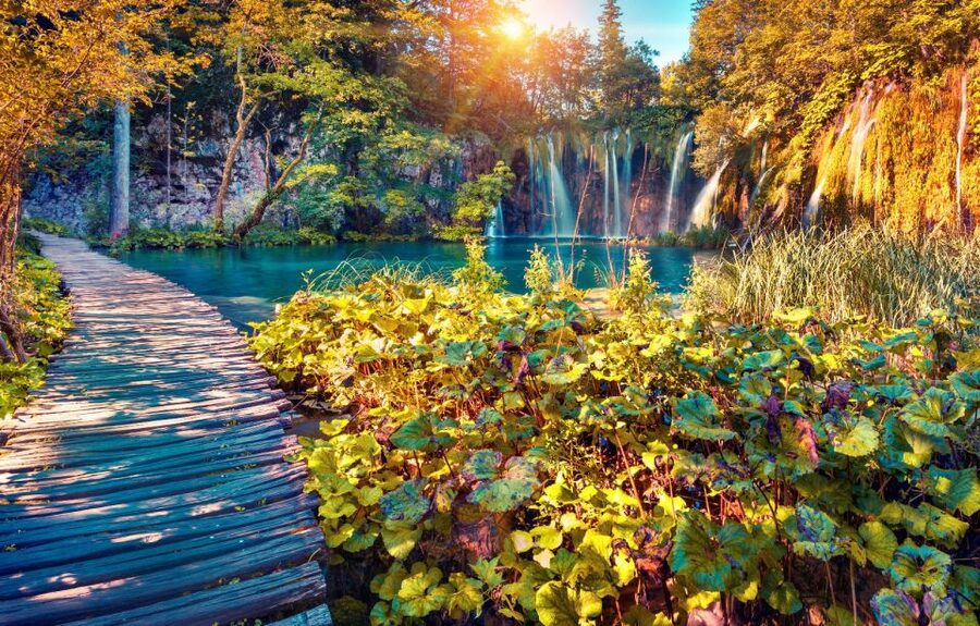 From Split: Plitvice Lakes Full-Day Trip - What the guide adds, and what unguided really means