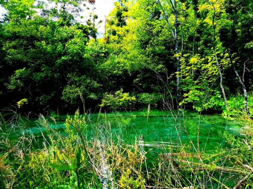 From Split: Plitvice Lakes Full-Day Trip - Weather, crowds, and the best time to go