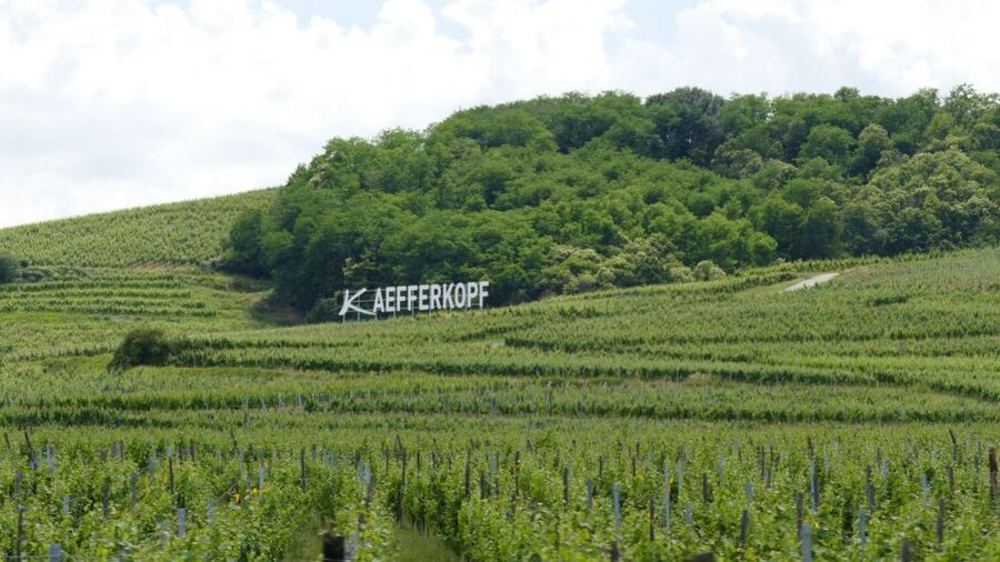From Strasbourg: Best Of Alsace Historical Day Trip - Haut-Koenigsbourg Castle and the first big view