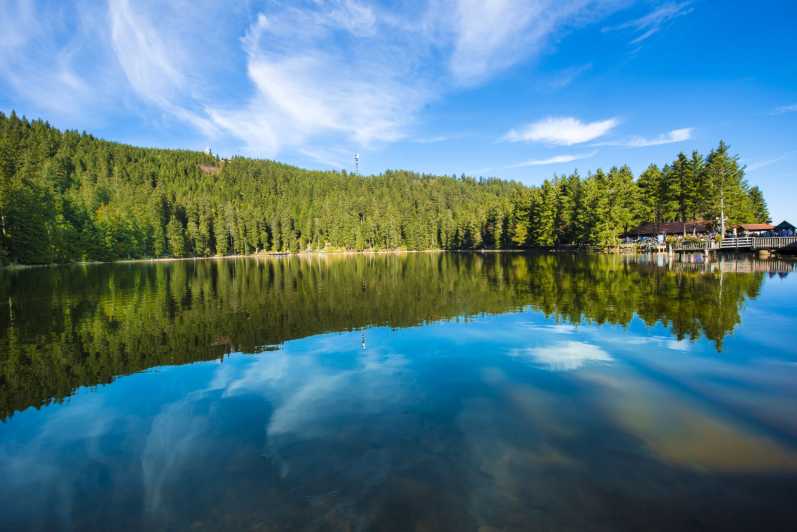 From Strasbourg: Black Forest and Baden Baden Day Trip - Key points at a glance