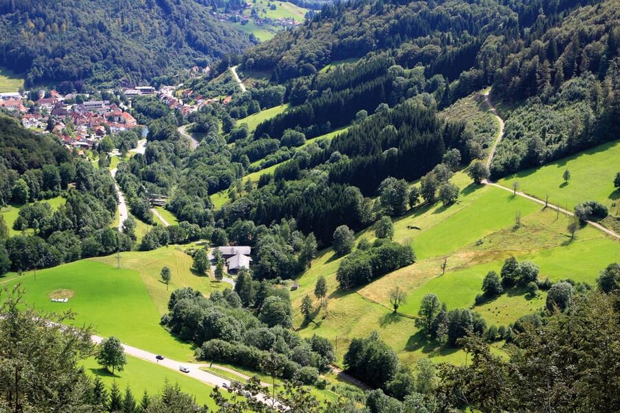 From Strasbourg: Black Forest and Baden Baden Day Trip - Mummelsee: one and a half hours beside a mountain lake