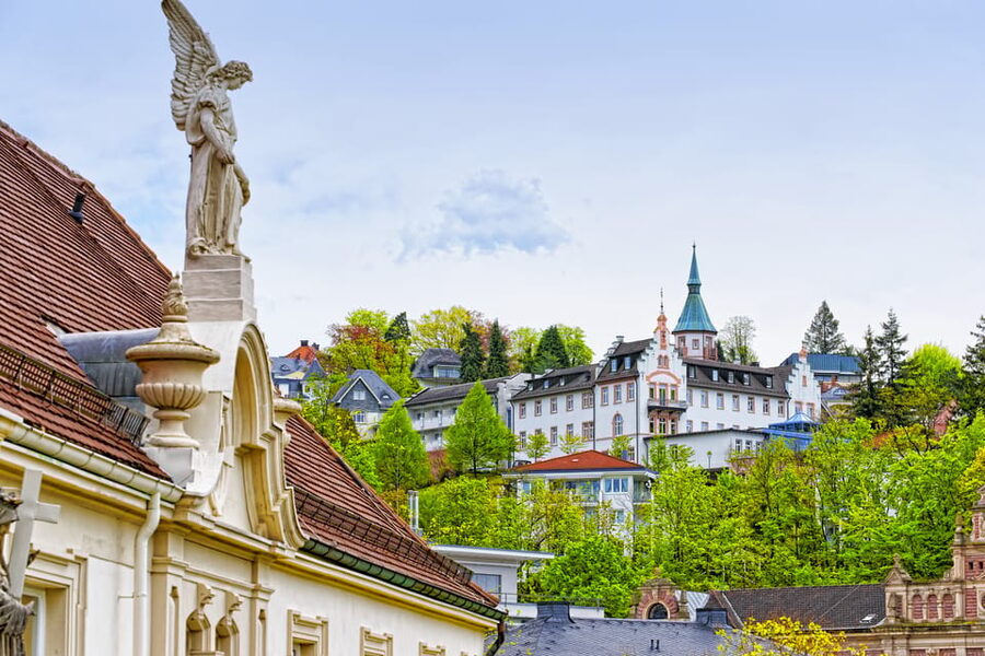 From Strasbourg: Black Forest and Baden Baden Day Trip - The pace, language, and practical limits