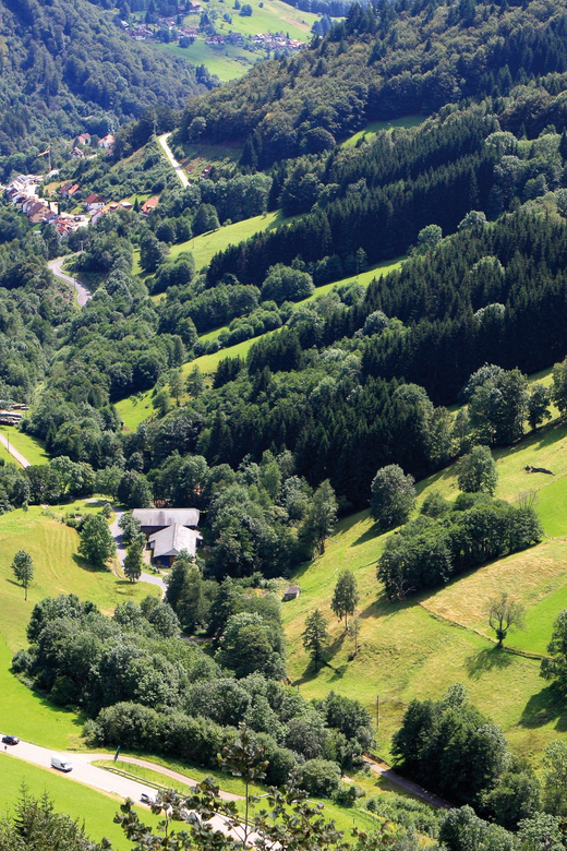 From Strasbourg: Black Forest and Baden Baden Day Trip - Baden-Baden: spa grandeur in one guided hour