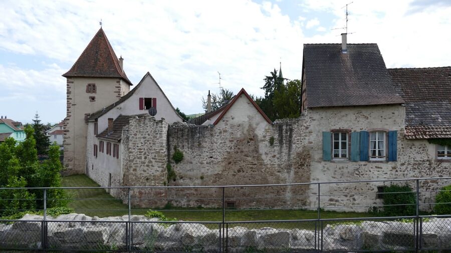 From Strasbourg: Medieval Villages & Wine Tasting Day Trip - A local wine tasting with no sales pressure