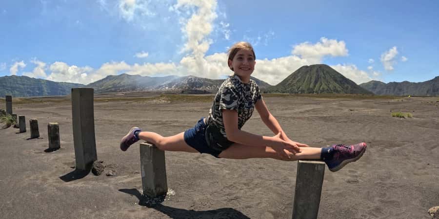 From Surabaya or Malang: Private Mt. Bromo Sunrise Day Trip - What $178 per person buys