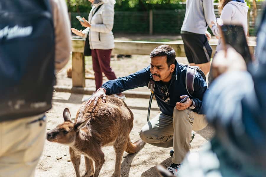 From Sydney: Blue Mountains Full-Day Trip - Scenic World: Cableway, Skyway, and Railway
