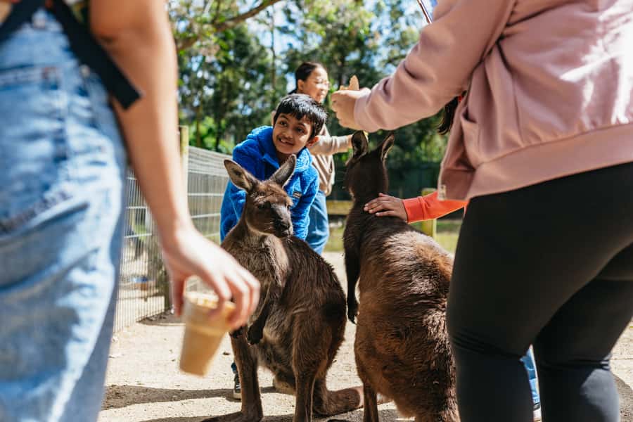 From Sydney: Blue Mountains Full-Day Trip - Echo Point and the Three Sisters