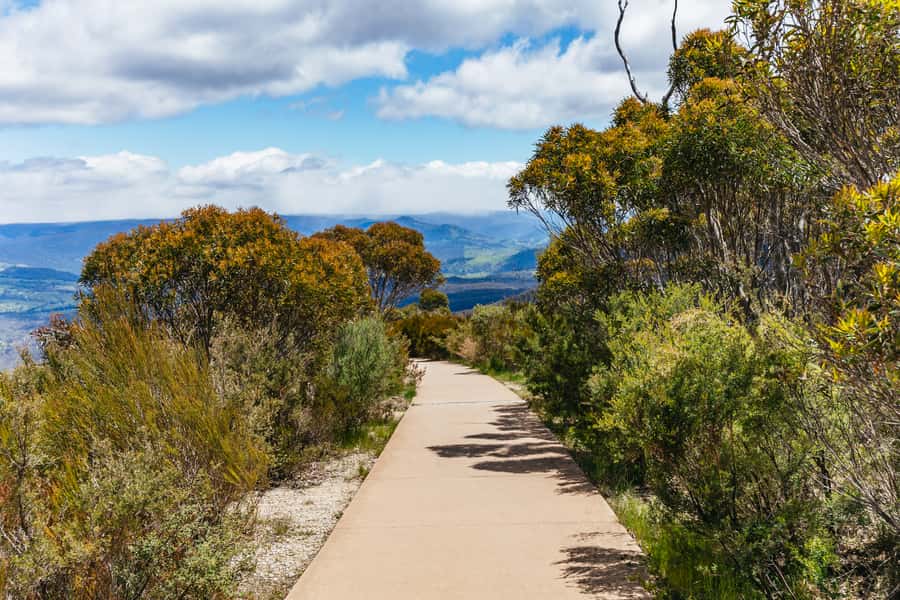 From Sydney: Blue Mountains Full-Day Trip - Guides make a real difference