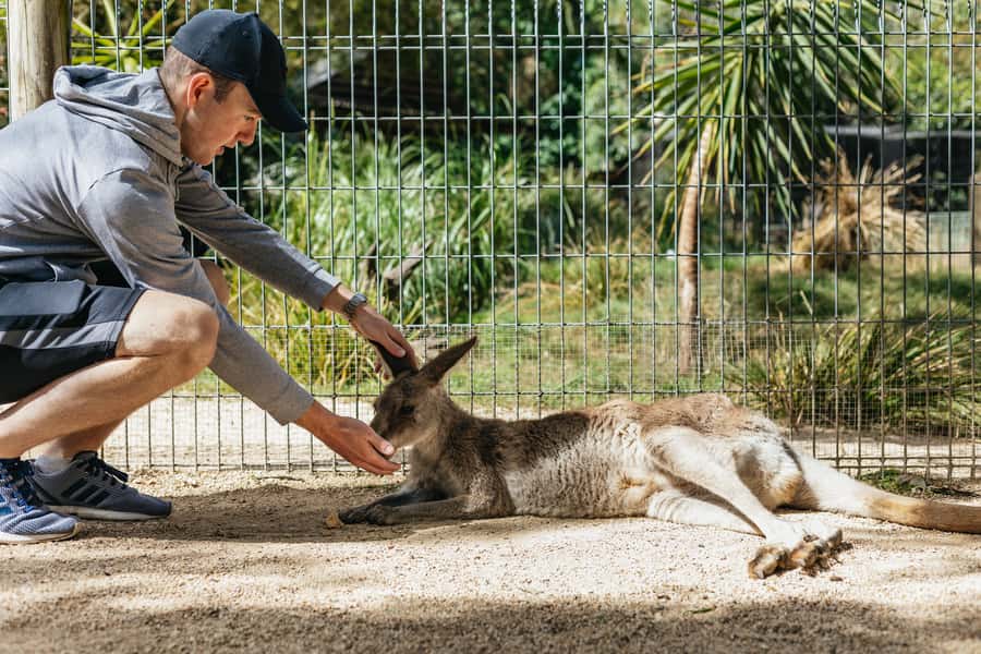 From Sydney: Blue Mountains Full-Day Trip - Early pickup from central Sydney hotels