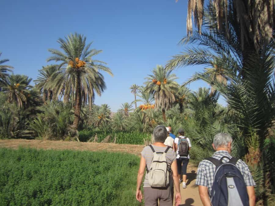 From Taghazout/Agadir: Taroudant and Tiout Day Trip & Tajine - Is $48 a fair price?