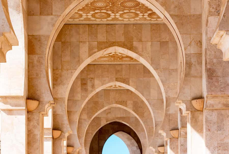 From Taghazout: Medina of Essaouira Guided Day Trip - Learning about argan oil at the factory